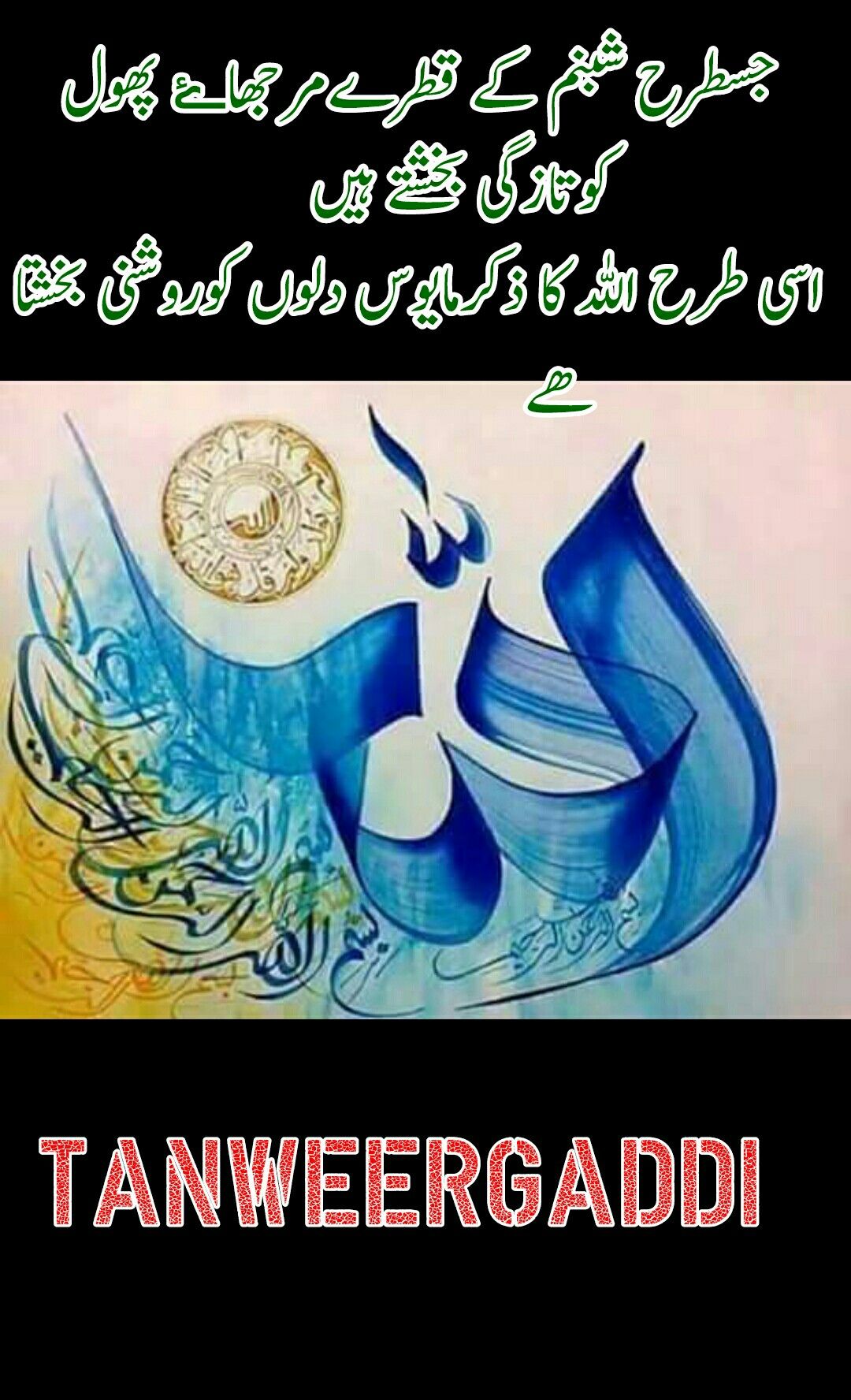 Post Image