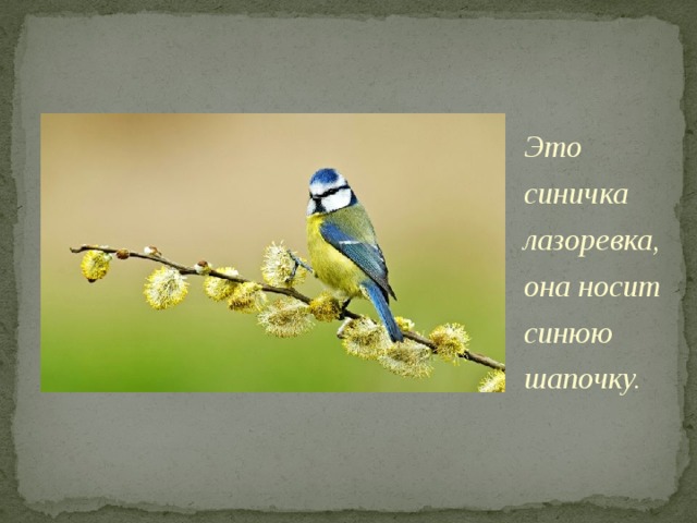Post Image