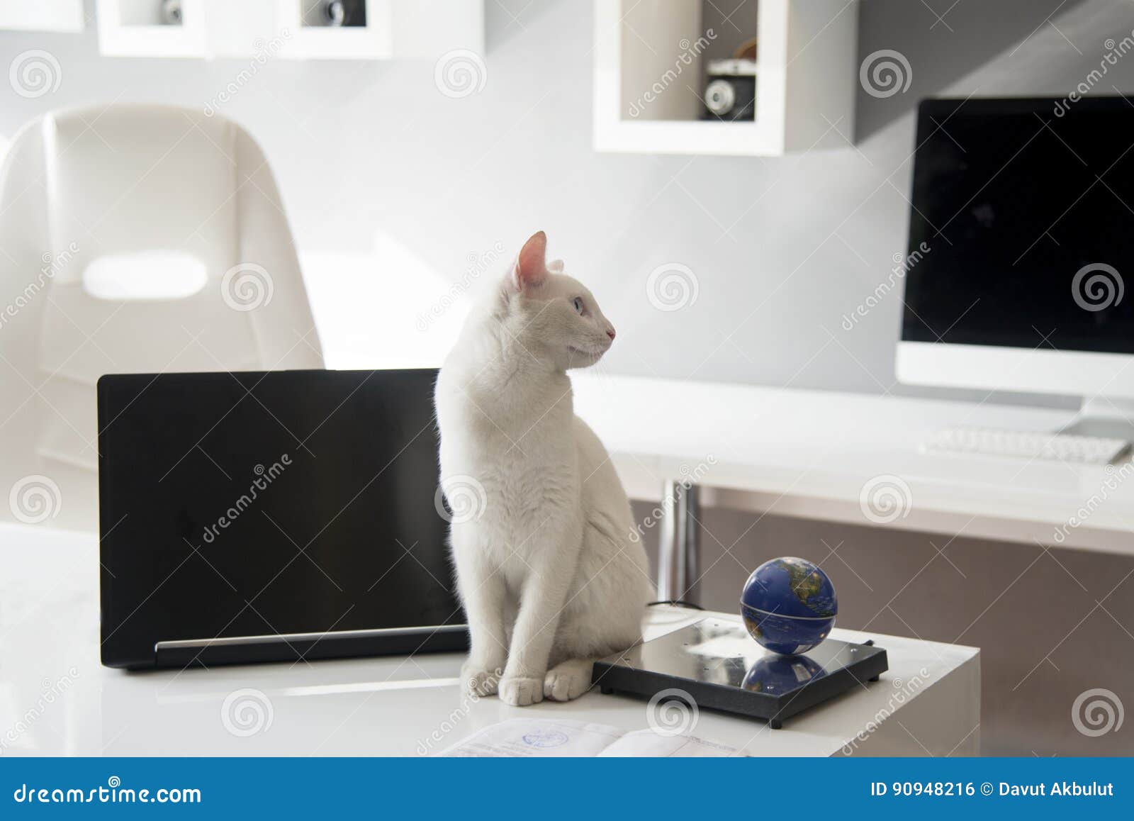 Post Image