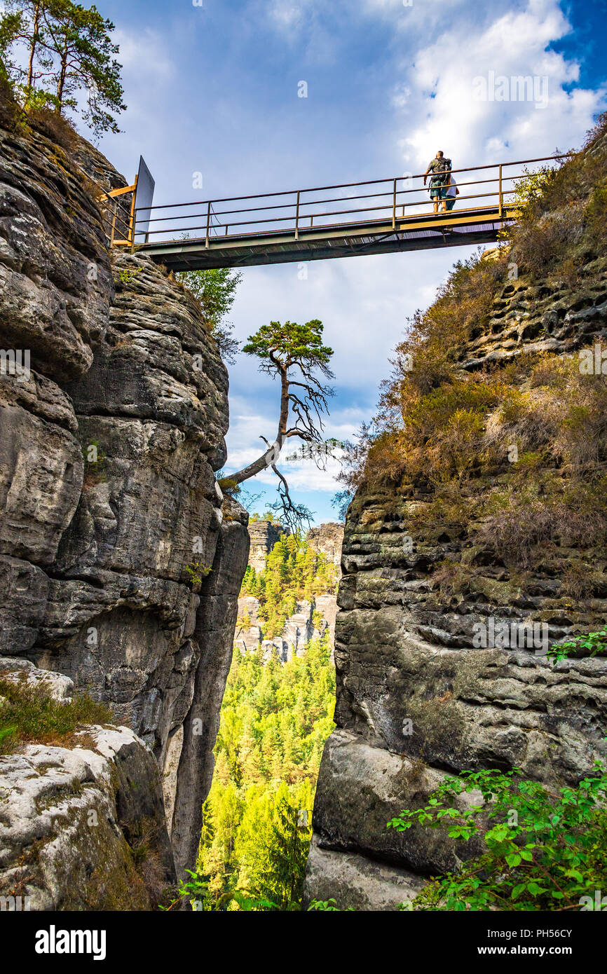 000 Bäume Für Den Nationalpark Sächsische Schweiz: Ein Meilenstein Der Wiederaufforstung 000 Bäume Für Den Nationalpark Sächsische Schweiz: Ein Meilenstein Der Wiederaufforstung