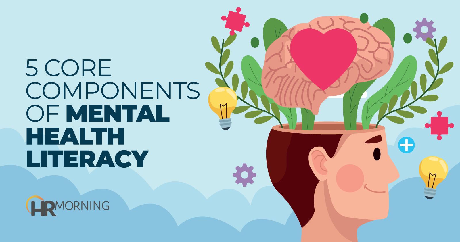 A Framework For Mental Health Literacy Education Programs A Framework For Mental Health Literacy Education Programs