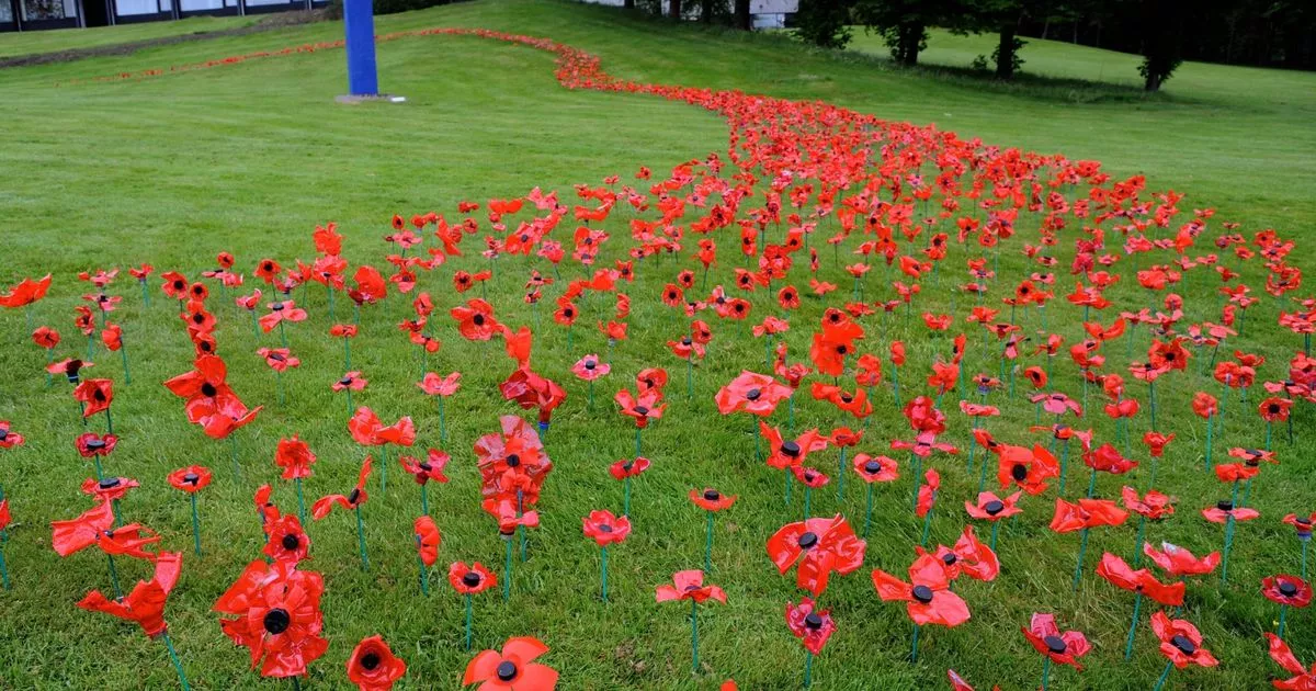 A Heartfelt Tribute To Poppy Atkinson From Manchester United And Bayern Munich A Heartfelt Tribute To Poppy Atkinson From Manchester United And Bayern Munich