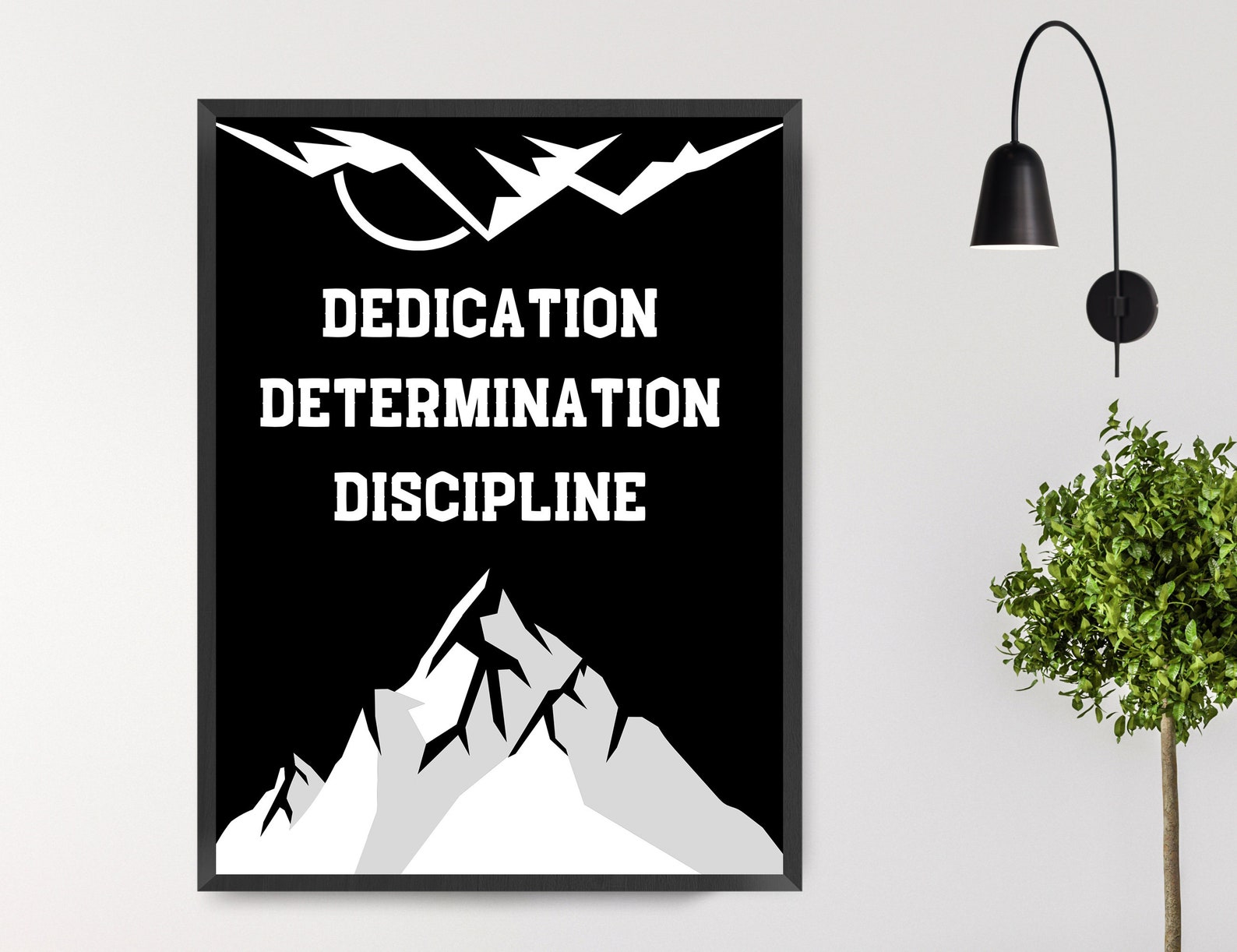 A Rome Champion's Journey: Dedication And Determination A Rome Champion's Journey: Dedication And Determination