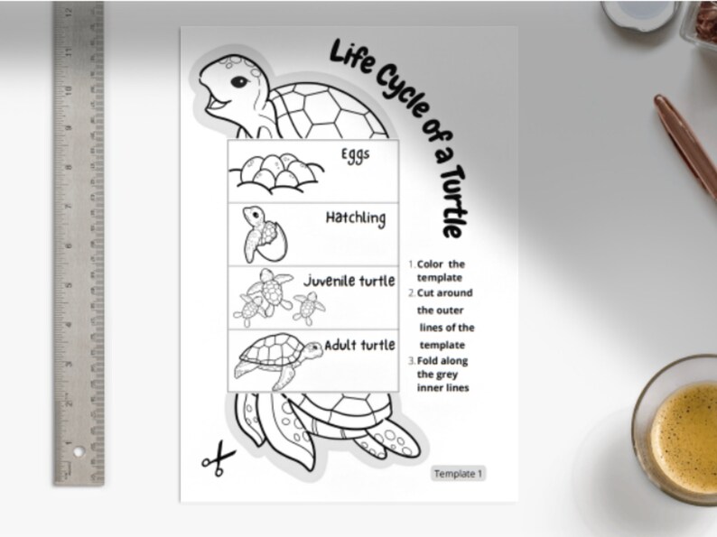 A Sustainable Approach To Education: Life Cycle Learning On Campus Farms A Sustainable Approach To Education: Life Cycle Learning On Campus Farms