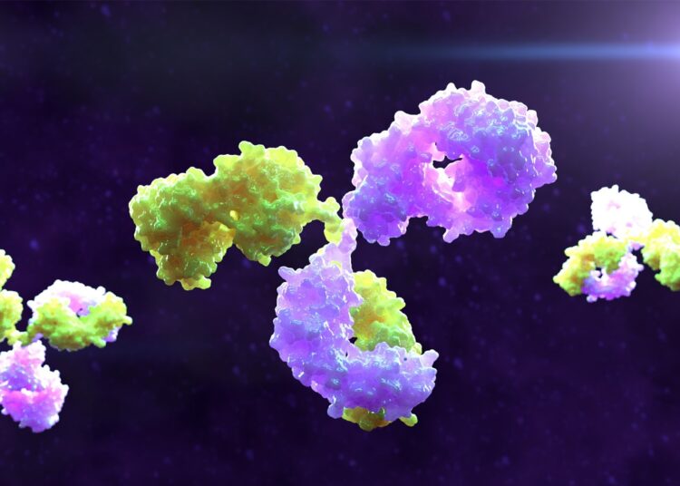 Acquisition Sanofi : Nouveaux Anticorps Bispécifiques De Dren Bio