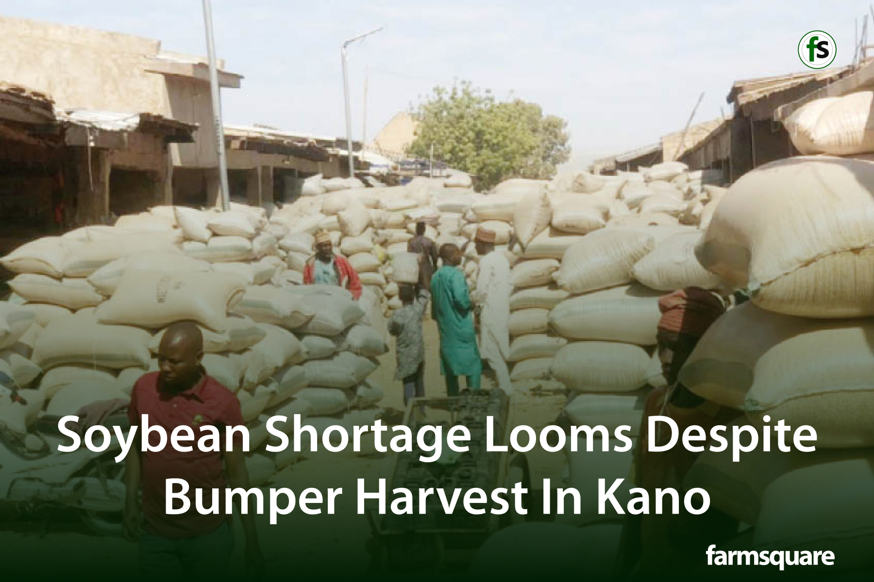 Addressing China's Soybean Shortage: Sinograin's Auction Strategy Addressing China's Soybean Shortage: Sinograin's Auction Strategy