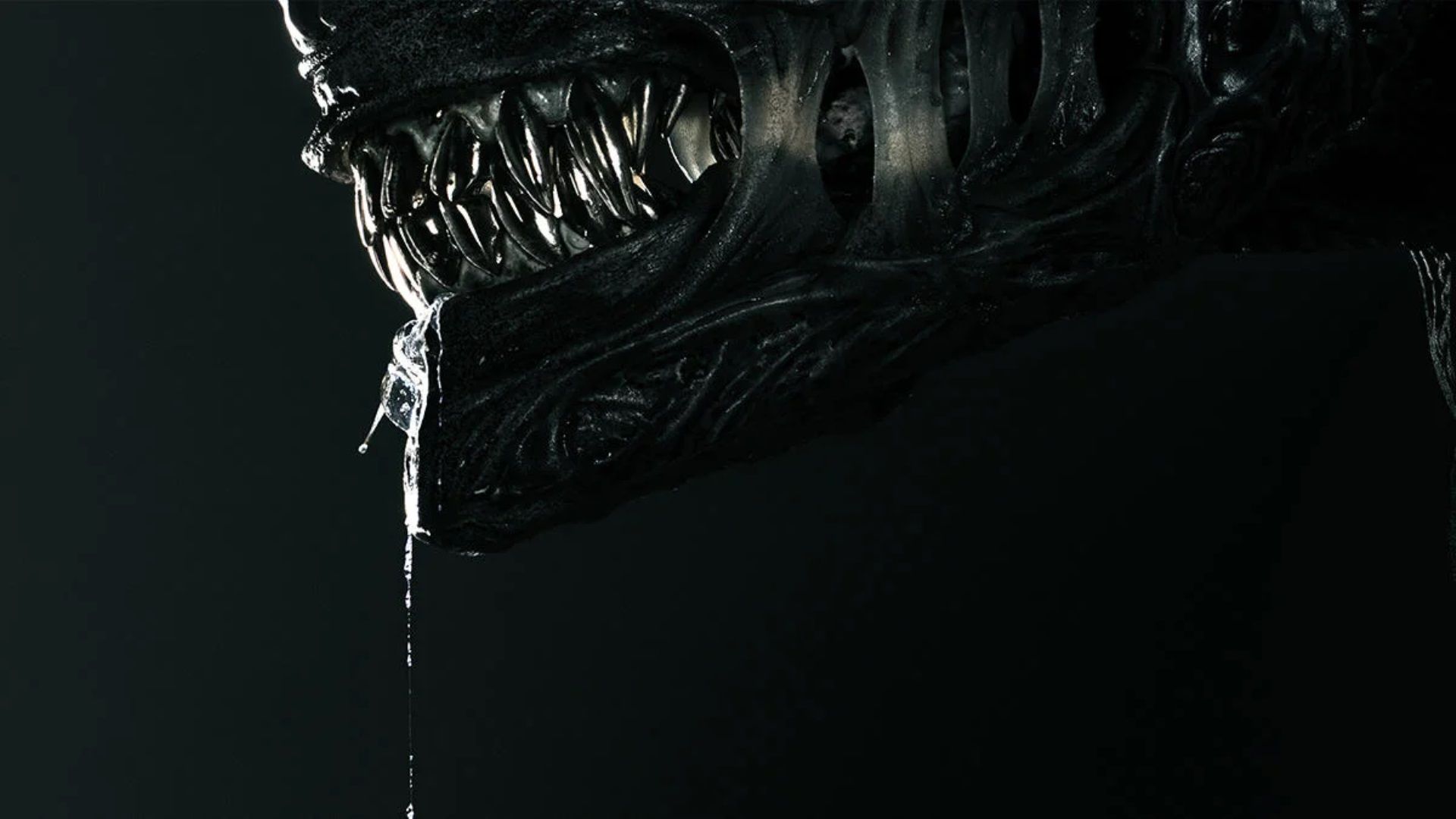 Alien: Xenomorph Earth Invasion Teased At SXSW Alien: Xenomorph Earth Invasion Teased At SXSW