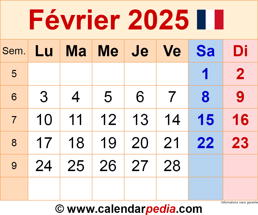 Analyse Du Document AMF Mercialys CP 2025E1022016 (25 Février 2025)