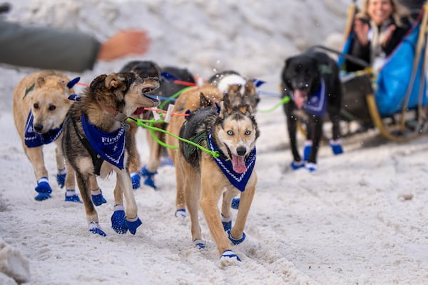 Anchorage Welcomes Iditarod: 2025 Ceremonial Start Draws Huge Crowds Anchorage Welcomes Iditarod: 2025 Ceremonial Start Draws Huge Crowds