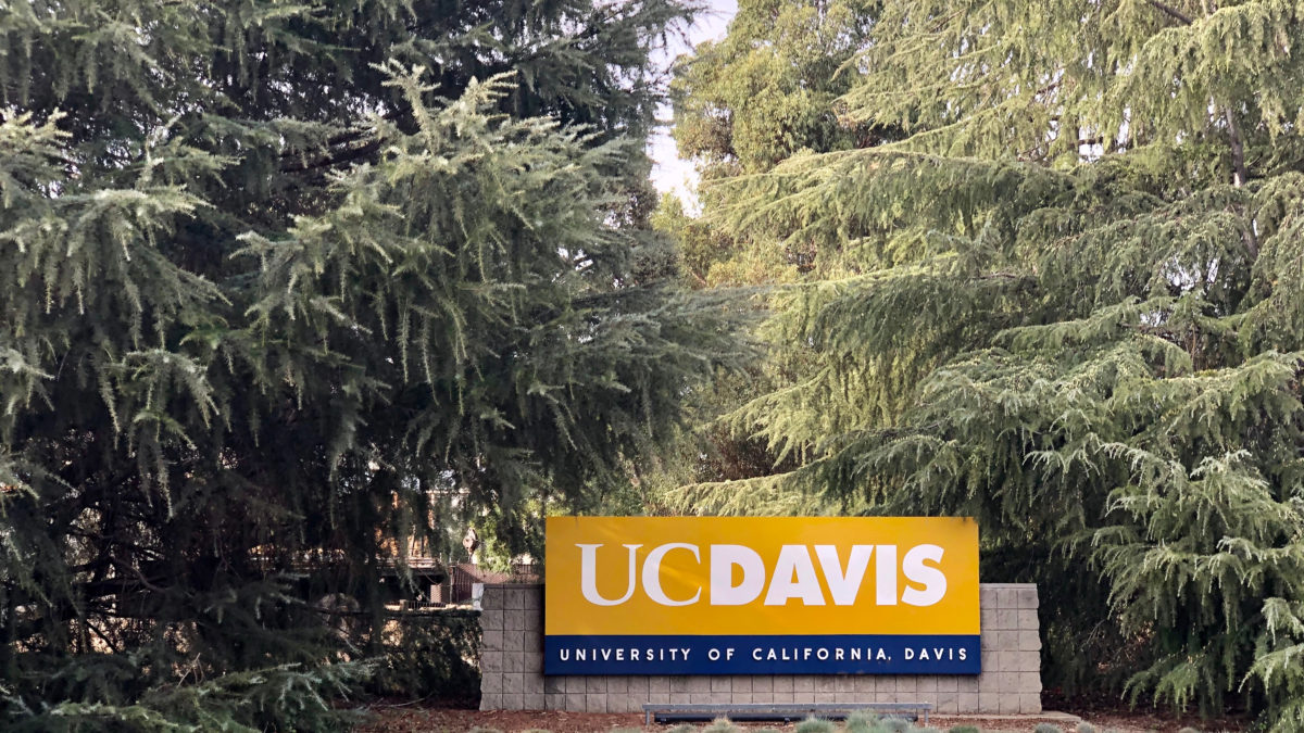Angelina Komashko's Decision: Staying In-State For UC Davis Angelina Komashko's Decision: Staying In-State For UC Davis