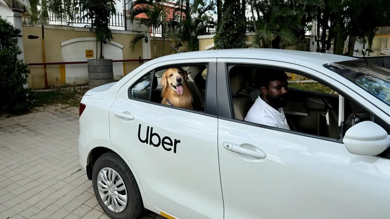 Announcing Uber Pet Services In Delhi And Mumbai Announcing Uber Pet Services In Delhi And Mumbai