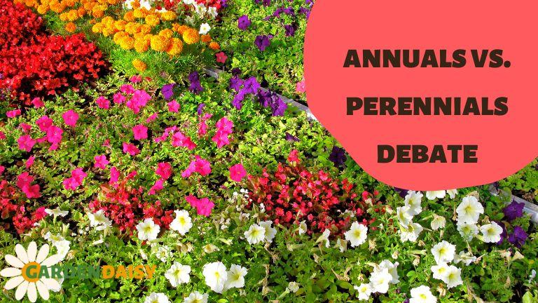 Annuals Vs. Perennials: Which Flowers Are Right For Your Garden? Annuals Vs. Perennials: Which Flowers Are Right For Your Garden?