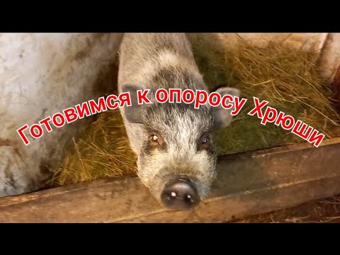 Аномальные Погодные Условия В Израиле: Предупреждение МАДА О Жаре, Холоде И Шторме Аномальные Погодные Условия В Израиле: Предупреждение МАДА О Жаре, Холоде И Шторме