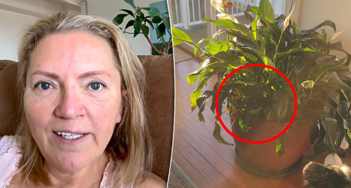 Aussie Woman's Unexpected Firing: A Day's Notice Story Aussie Woman's Unexpected Firing: A Day's Notice Story