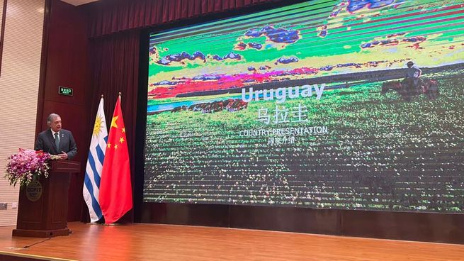 Avión Con Carga Inusual: Uruguay Busca Mejorar Exportaciones Ganaderas A China Avión Con Carga Inusual: Uruguay Busca Mejorar Exportaciones Ganaderas A China