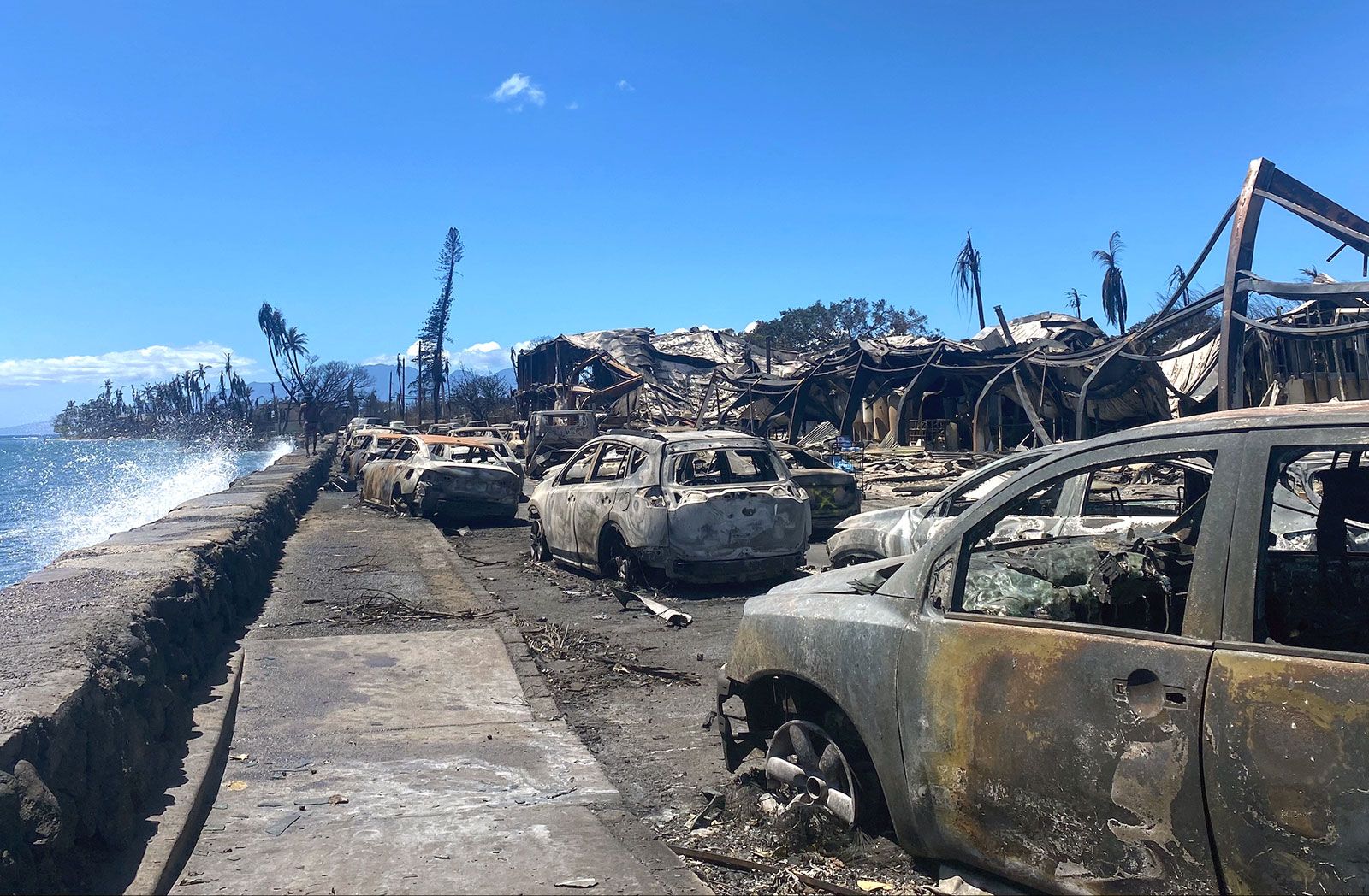 Betting On Natural Disasters: The LA Wildfires And The Changing Times Betting On Natural Disasters: The LA Wildfires And The Changing Times