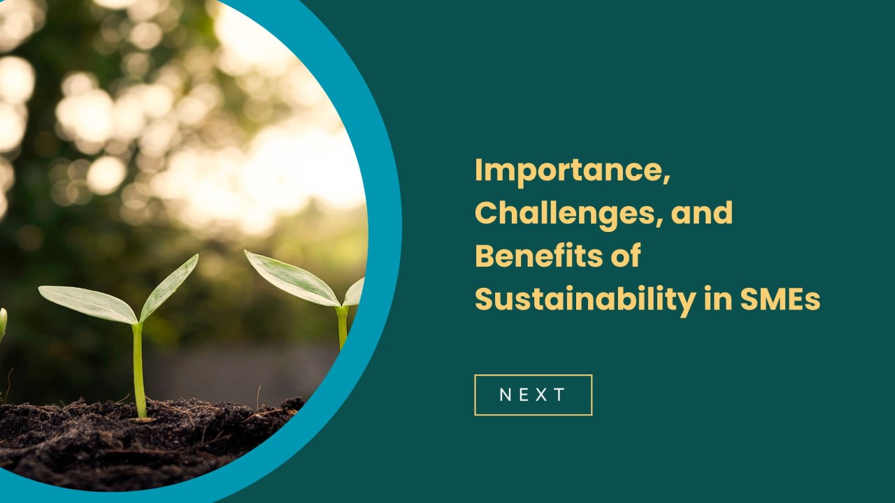 Boosting Sustainability: Funding Opportunities For SMEs Boosting Sustainability: Funding Opportunities For SMEs