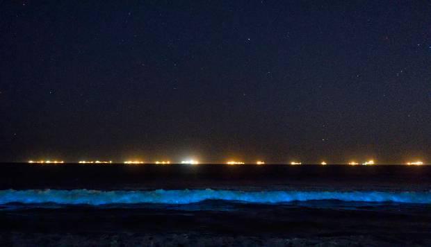 Catch Bioluminescent Waves In SoCal: Spring And Fall Beach Guide Catch Bioluminescent Waves In SoCal: Spring And Fall Beach Guide