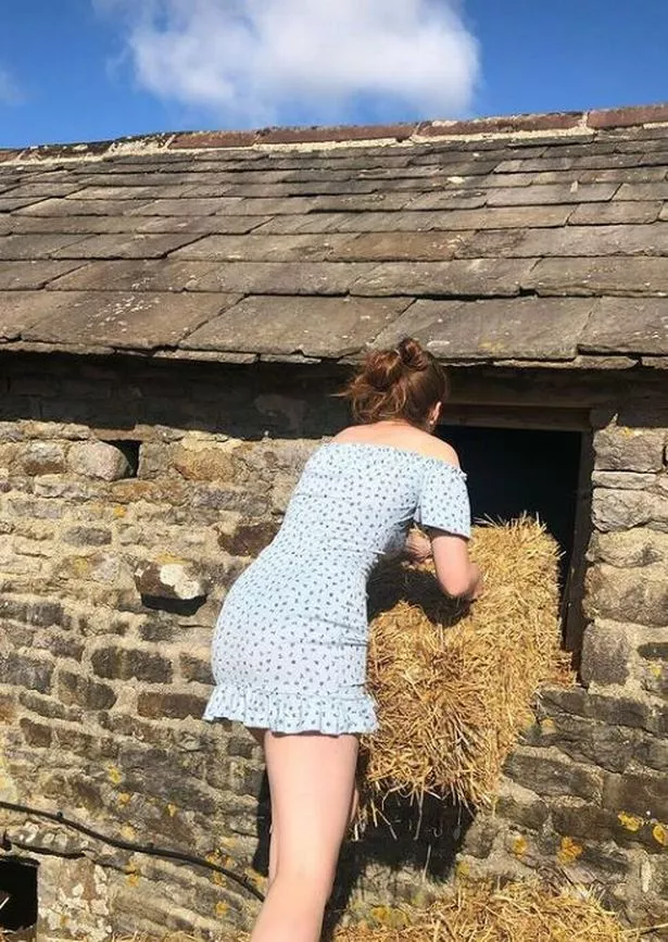 Channel 4's Our Yorkshire Farm:  Amanda Owen Hit With Further Complaints