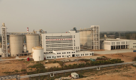 China Sinograin's Soybean Auction: Addressing Supply Shortages China Sinograin's Soybean Auction: Addressing Supply Shortages