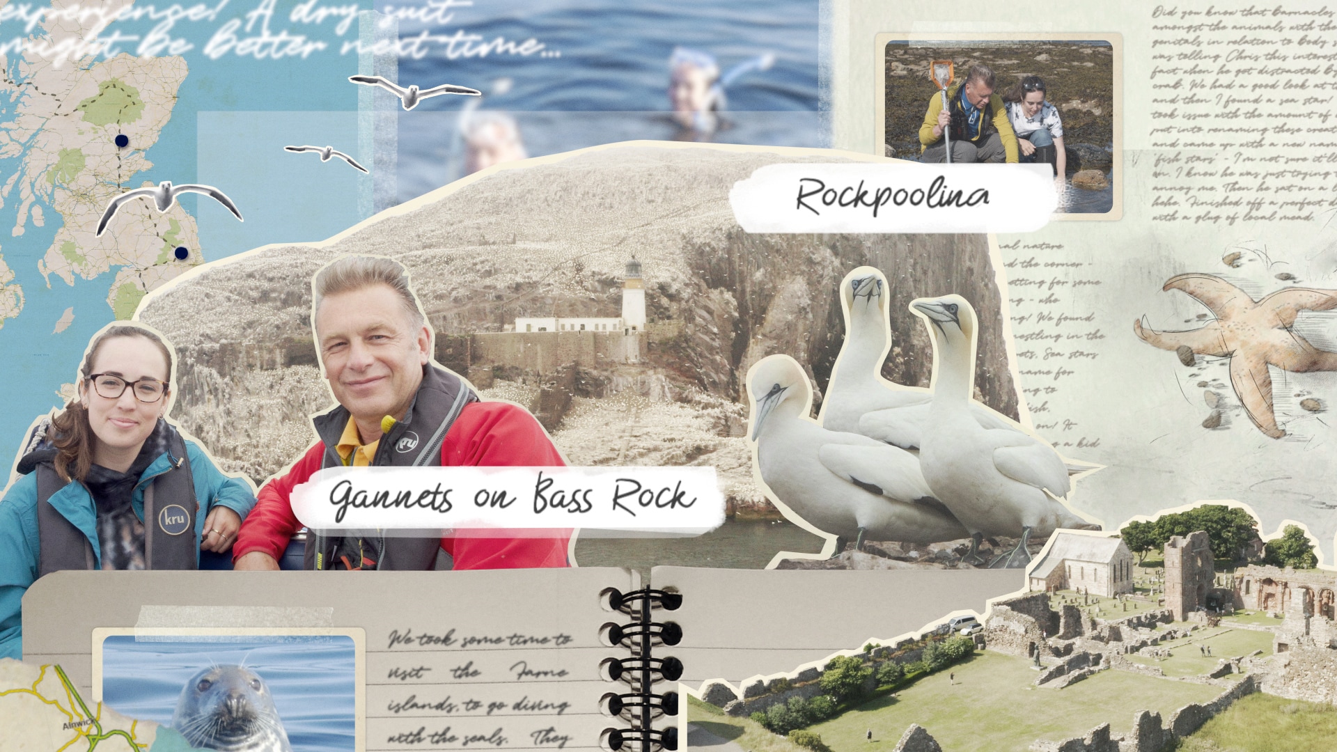 Chris And Meg's Wild Summer Journey Chris And Meg's Wild Summer Journey