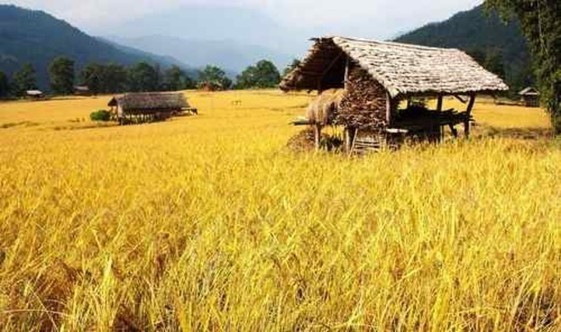 Climate Smart Villages In Africa: Schneider Electric's Sustainable Energy Solution