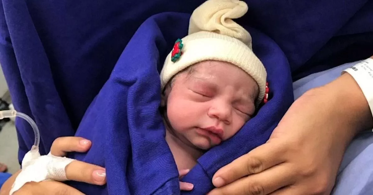 Community Activist Advocates For Womb Transplants To Enable Transgender Mothers Community Activist Advocates For Womb Transplants To Enable Transgender Mothers