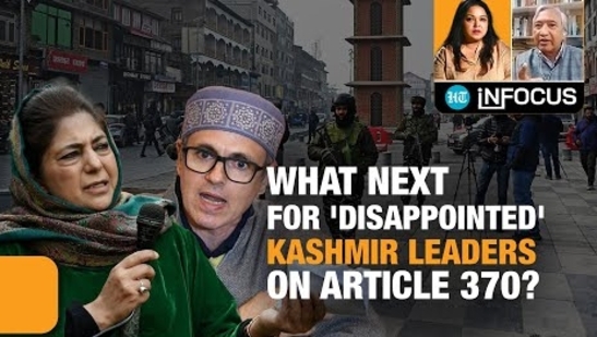 Concerns Rise Among Kashmir Cat Owners Following Viral Posts Concerns Rise Among Kashmir Cat Owners Following Viral Posts