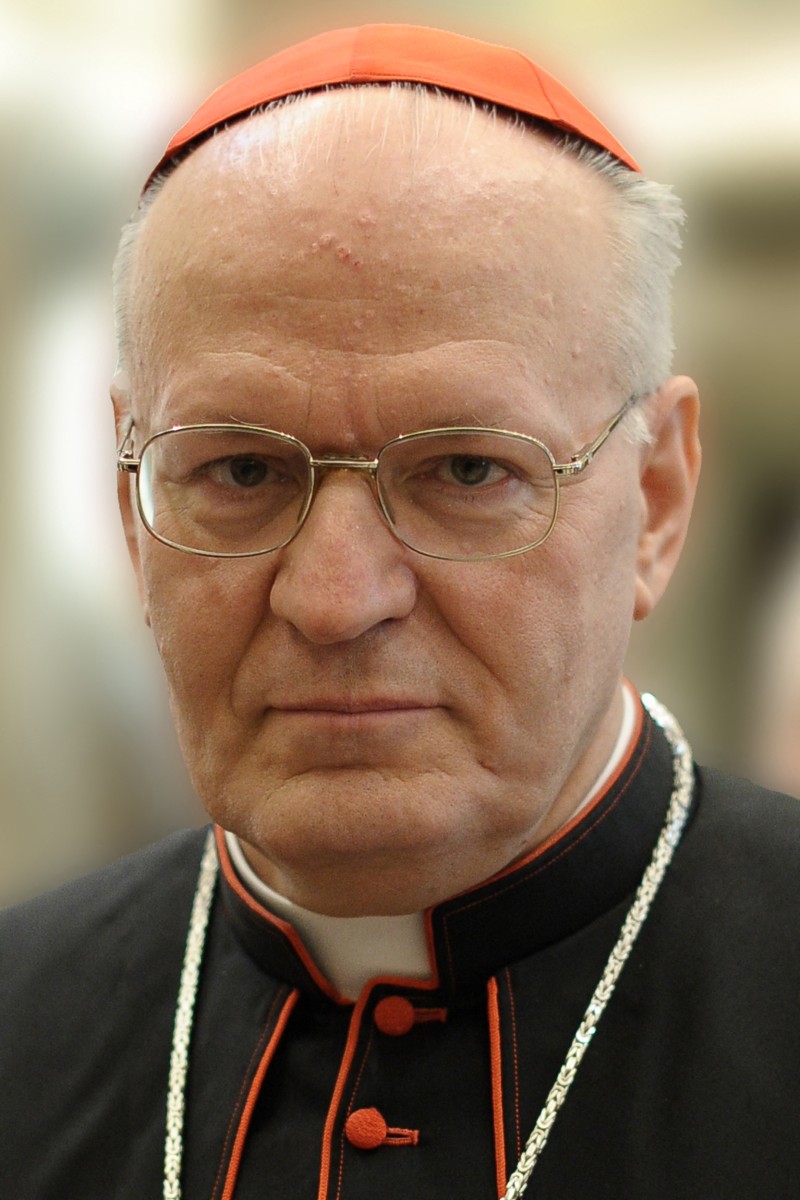 Conclave 2023?: Potential Successors To Pope Francis Conclave 2023?: Potential Successors To Pope Francis