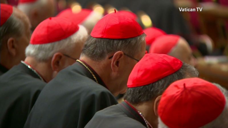 Could These 9 Cardinals Be The Next Pope? A Conclave Preview Could These 9 Cardinals Be The Next Pope? A Conclave Preview