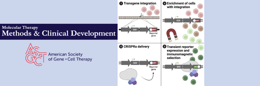 CRISPR Gene Editing: Enhanced Accuracy And Efficiency With New Modification CRISPR Gene Editing: Enhanced Accuracy And Efficiency With New Modification