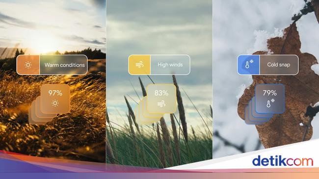 Cuaca Bali Besok: Dominan Berawan, Hanya Beberapa Wilayah Hujan Cuaca Bali Besok: Dominan Berawan, Hanya Beberapa Wilayah Hujan