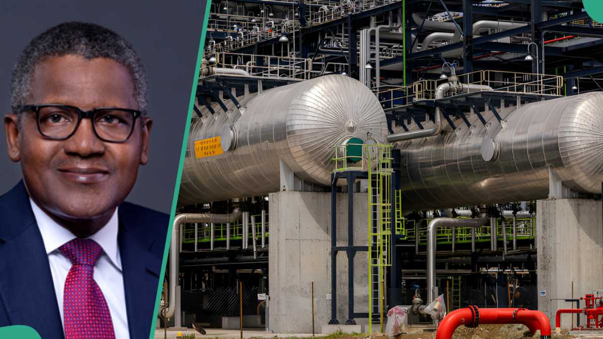 Dangote Refinery's Influence On NNPC Petrol Pricing Dangote Refinery's Influence On NNPC Petrol Pricing
