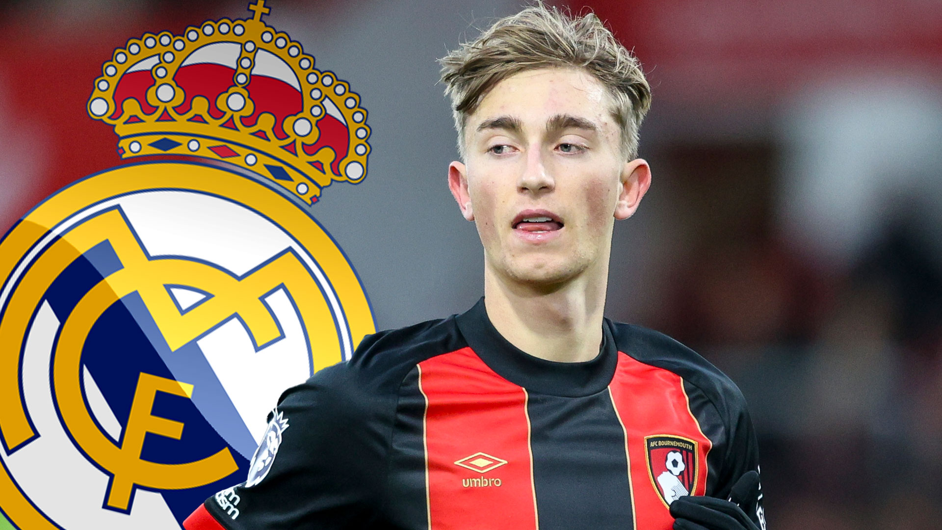 Dean Huijsen Transfer News: Real Madrid Linked With Bournemouth Player Dean Huijsen Transfer News: Real Madrid Linked With Bournemouth Player