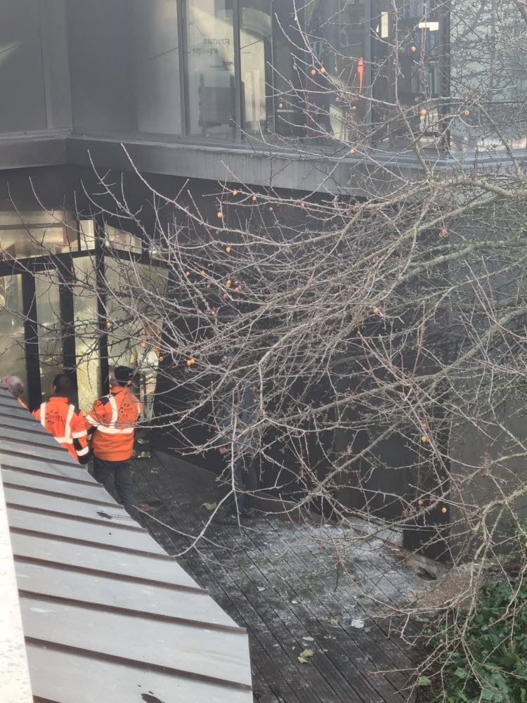 Début D'incendie À La Médiathèque Champollion De Dijon Début D'incendie À La Médiathèque Champollion De Dijon