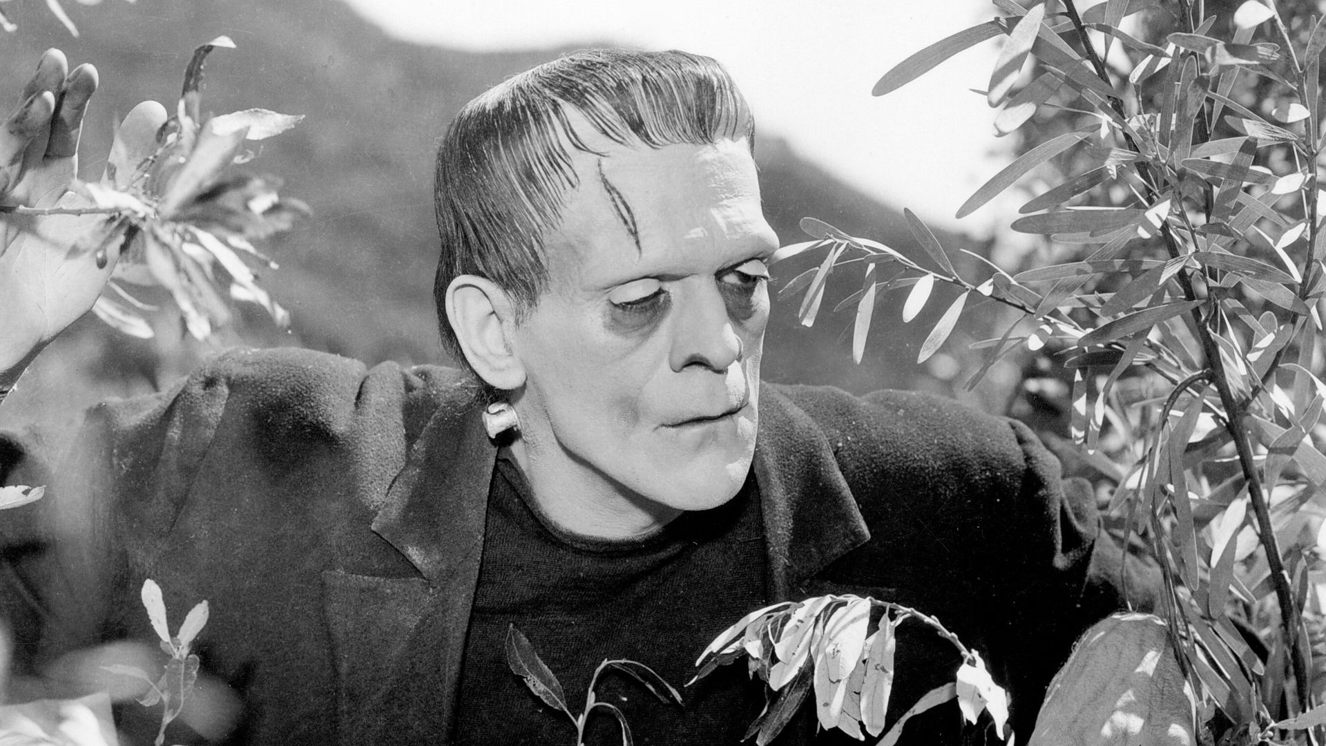 Del Toro's Frankenstein: A Puzzling New Look At A Classic Horror Story Del Toro's Frankenstein: A Puzzling New Look At A Classic Horror Story