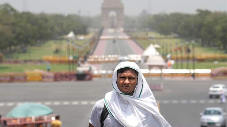 Delhi Heatwave: Government Issues Advisory, Warns Of Heatstroke Delhi Heatwave: Government Issues Advisory, Warns Of Heatstroke