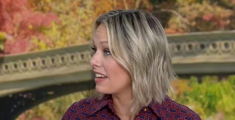 Did A Mishap Cause A Rift Between Dylan Dreyer And Her Today Show Colleagues? Did A Mishap Cause A Rift Between Dylan Dreyer And Her Today Show Colleagues?