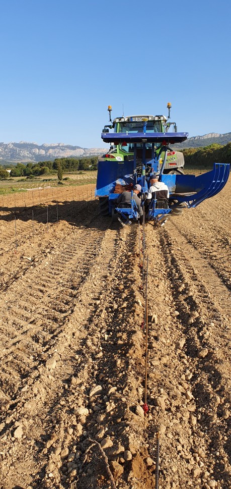 Dijon : 2500 M² Dédiés À Une Nouvelle Plantation De Vignes Aux Valendons Dijon : 2500 M² Dédiés À Une Nouvelle Plantation De Vignes Aux Valendons