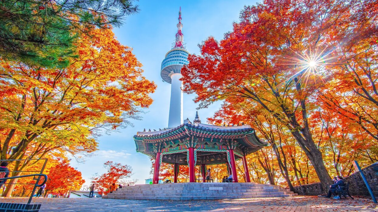 Discover This Country: Your Ultimate Travel Guide Discover This Country: Your Ultimate Travel Guide
