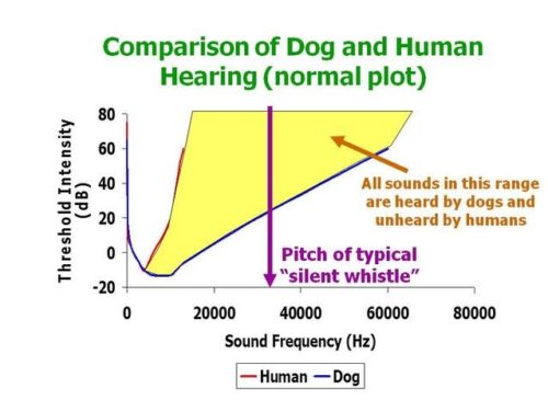 Dog Whistle Or Fog Horn? Assessing The Impact Of Rupert Lowe's X Post On UK Reform Dog Whistle Or Fog Horn? Assessing The Impact Of Rupert Lowe's X Post On UK Reform