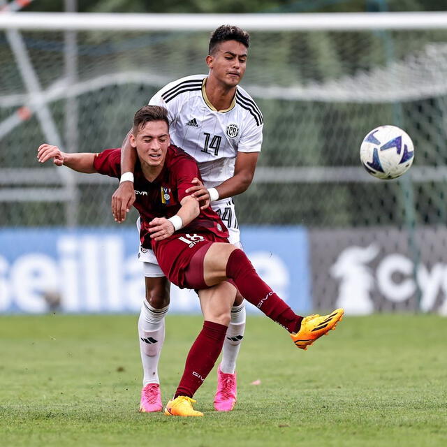 Dónde Ver El Partido Venezia - Nápoles En Directo Dónde Ver El Partido Venezia - Nápoles En Directo