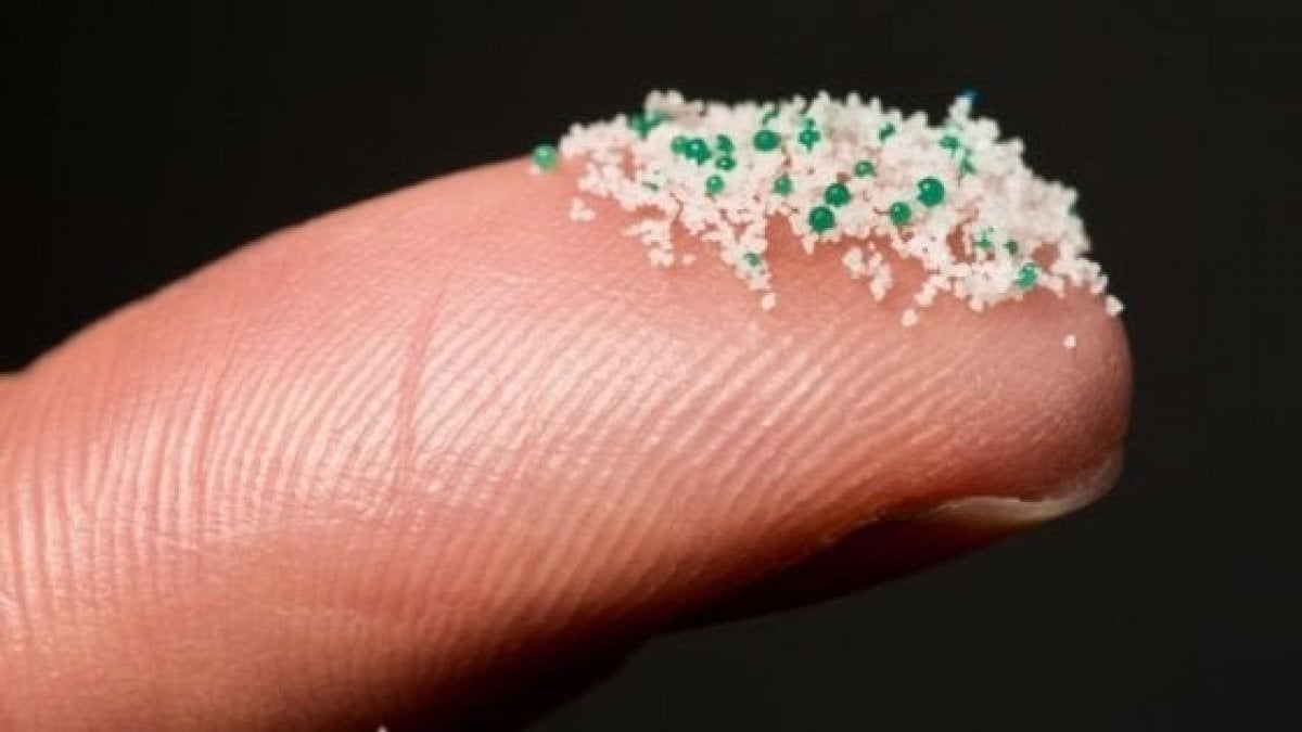 Dove Si Concentrano Le Microplastiche Nell'acqua? Dove Si Concentrano Le Microplastiche Nell'acqua?
