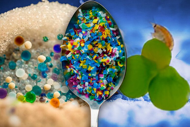 Dove Si Trovano Più Microplastiche: Acqua Di Mare O Acqua Dolce? Dove Si Trovano Più Microplastiche: Acqua Di Mare O Acqua Dolce?
