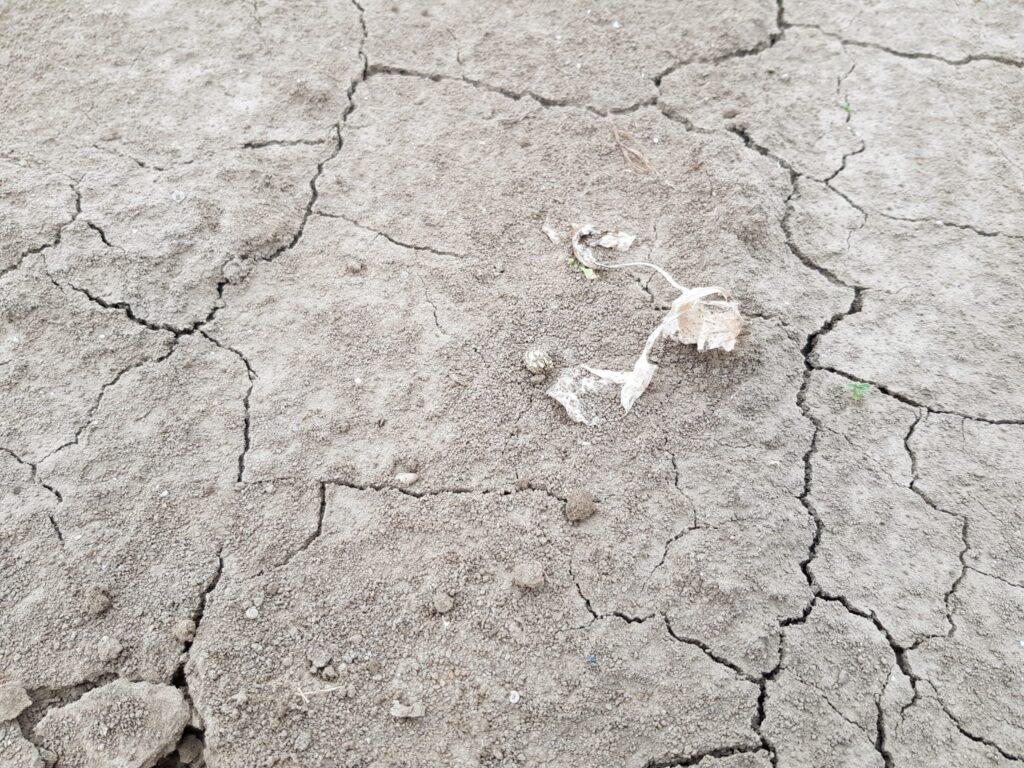 Droogte Leidt Tot Vele Afgelaste Paasvuren In Drenthe Droogte Leidt Tot Vele Afgelaste Paasvuren In Drenthe