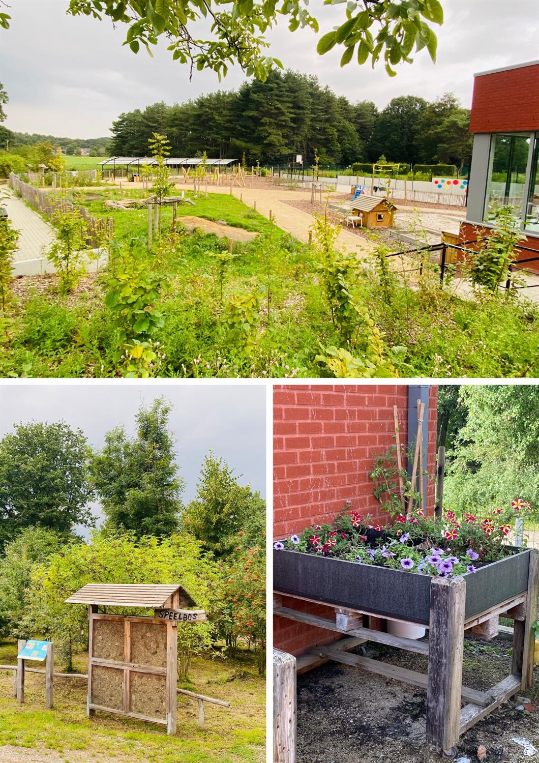 Duurzame Energie En Noodstroomvoorziening Voor Bio-based Basisscholen Duurzame Energie En Noodstroomvoorziening Voor Bio-based Basisscholen