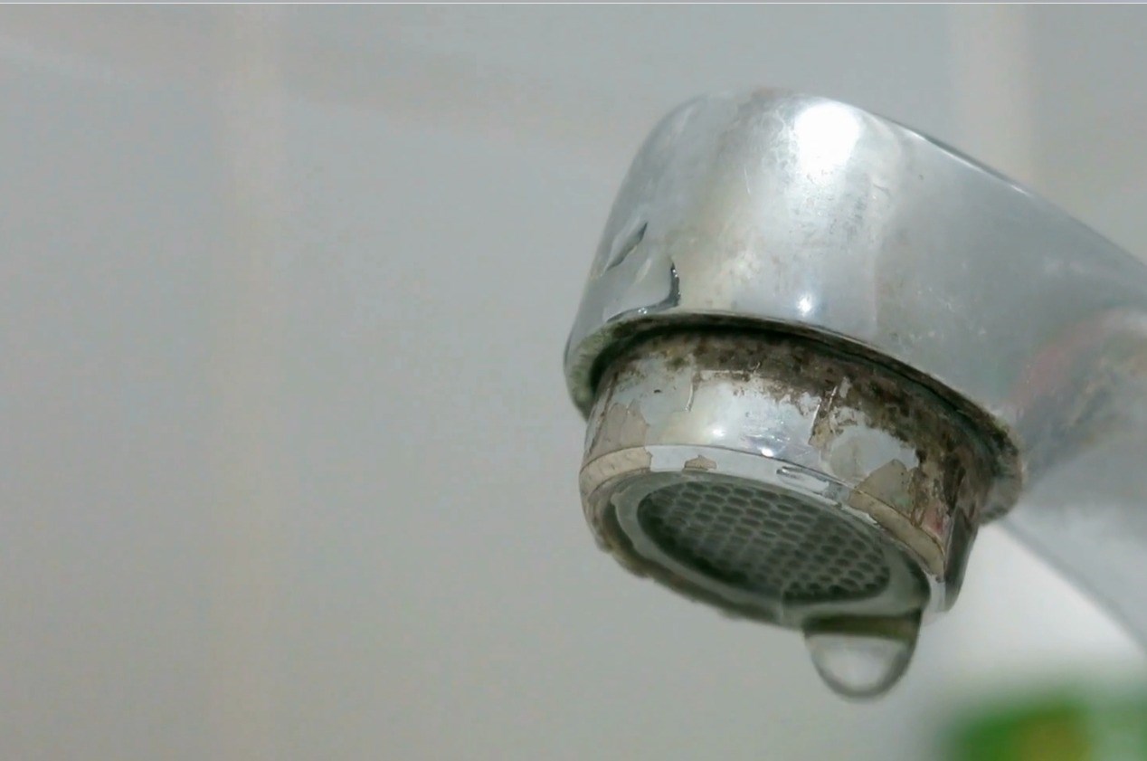 Elevated PFAS Levels Found In Blue Mountains Water Source: Public Health Implications Elevated PFAS Levels Found In Blue Mountains Water Source: Public Health Implications