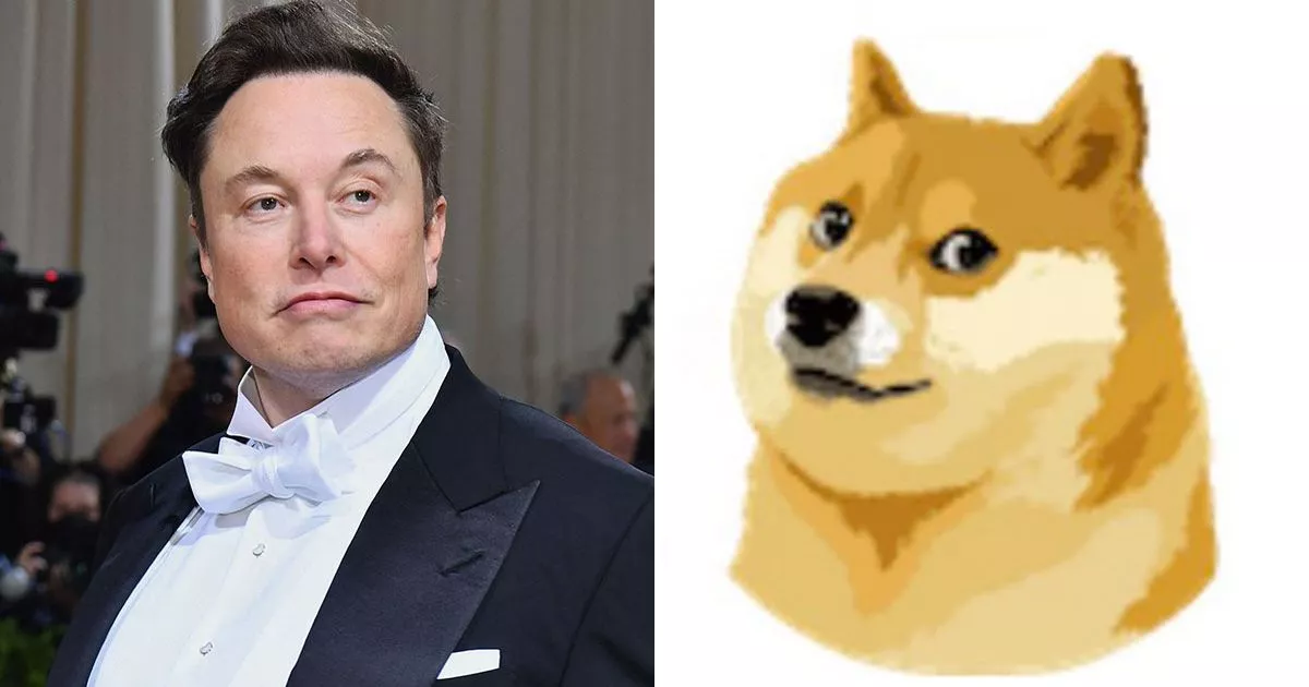 Elon Musk, Dogecoin, And The Trump Administration: A Comprehensive Look Elon Musk, Dogecoin, And The Trump Administration: A Comprehensive Look