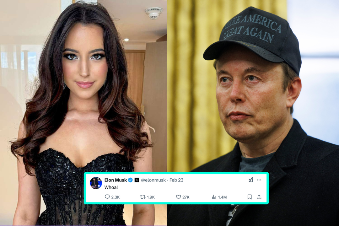 Elon Musk's Alleged Paternity Of Amber Heard's Twins: The Evidence Elon Musk's Alleged Paternity Of Amber Heard's Twins: The Evidence