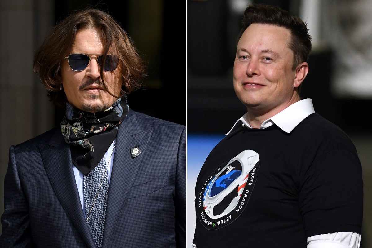 Elon Musk's Alleged Paternity Of Amber Heard's Twins: The Latest Developments Elon Musk's Alleged Paternity Of Amber Heard's Twins: The Latest Developments